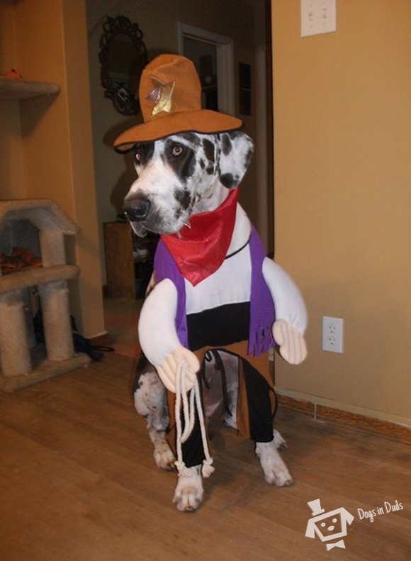 HALLOWEEN2