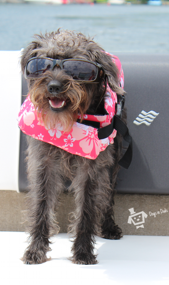 boating-molly