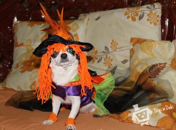 cha-chat-witch