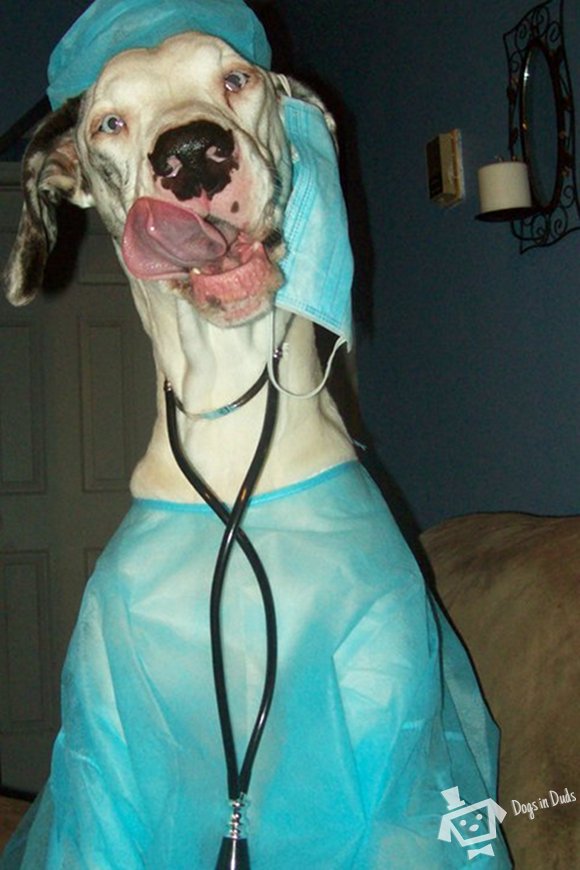 colbydoc