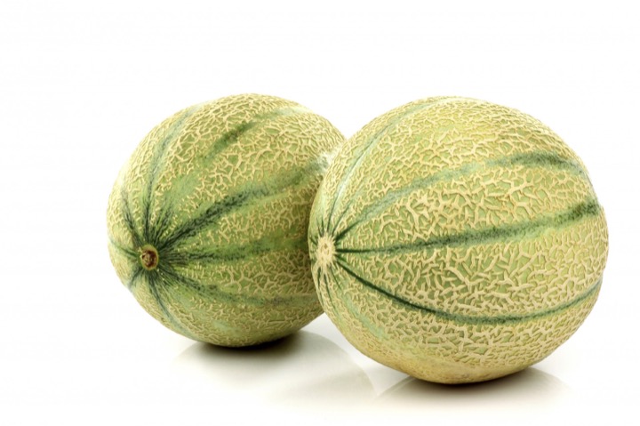 melons2