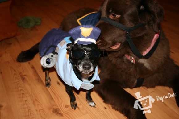officer-et