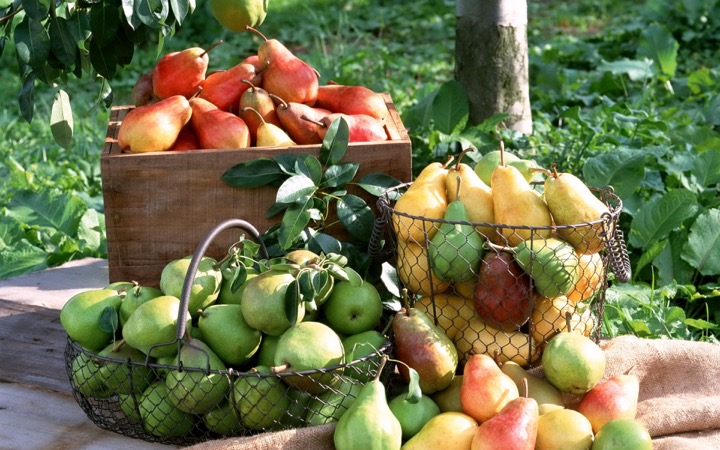 pears_basket_fruit_70813_3840x2400