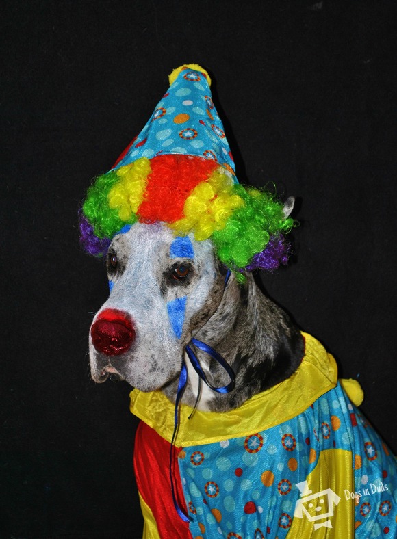sad-clown
