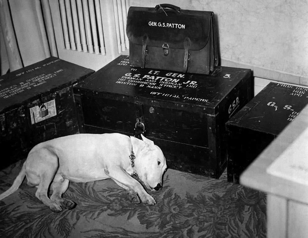 03 - General George S Pattons dog on the day of Pattons death on December 21st 1945