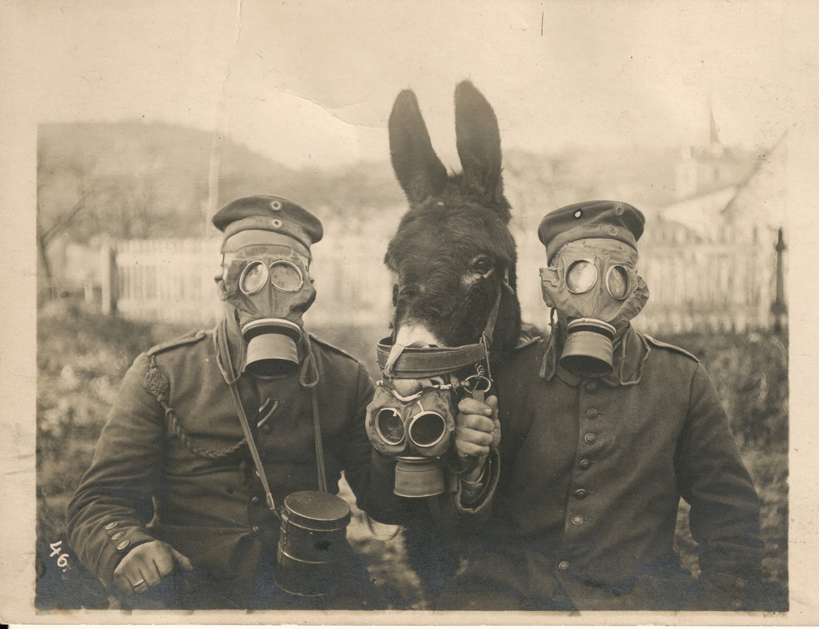 16 - Two German soldiers and their mule wearing gas masks in WWI 1916
