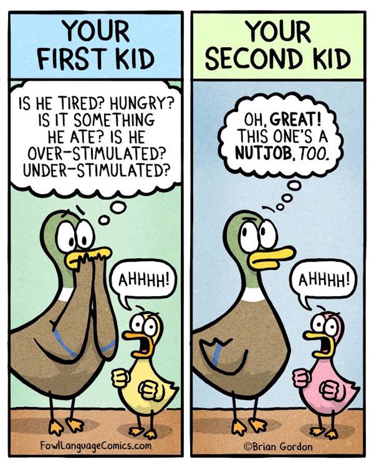 fowl-language9