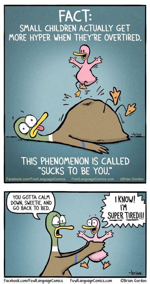 fowllanguage25