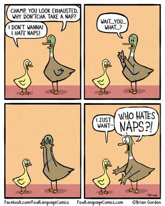 fowllanguage28