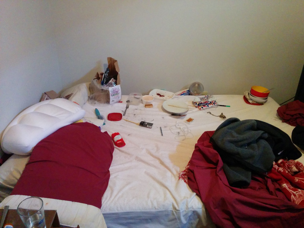 1 - Garbage all over the bed