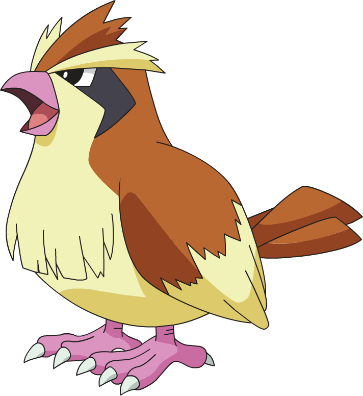 016pidgey_ag_anime