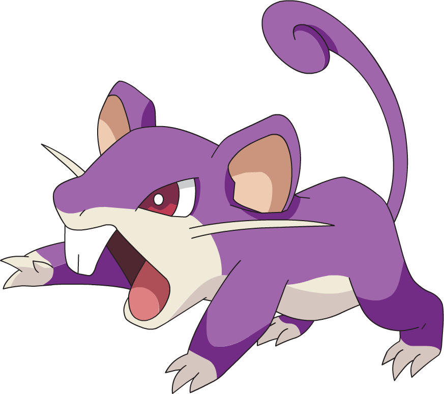 019rattata_ag_anime