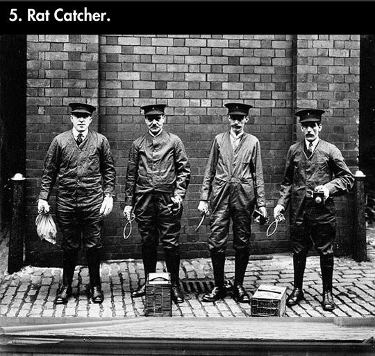5-rat-catcher