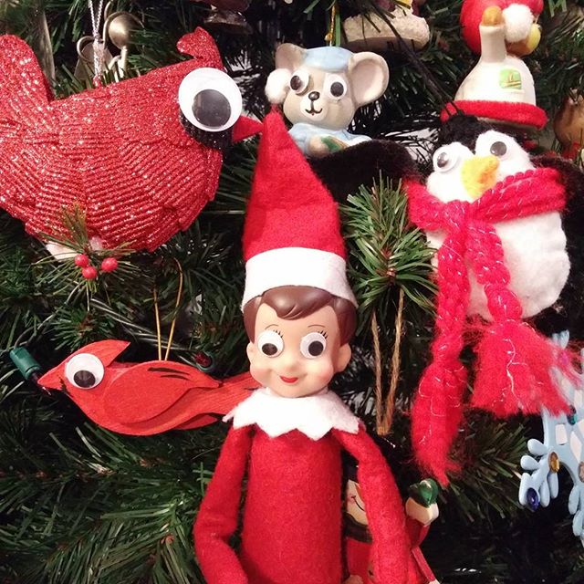 elf-on-the-shelf-things-life-1