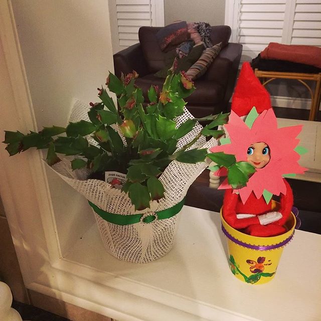 elf-on-the-shelf-things-life-12328318_454669874727081_109574484_n