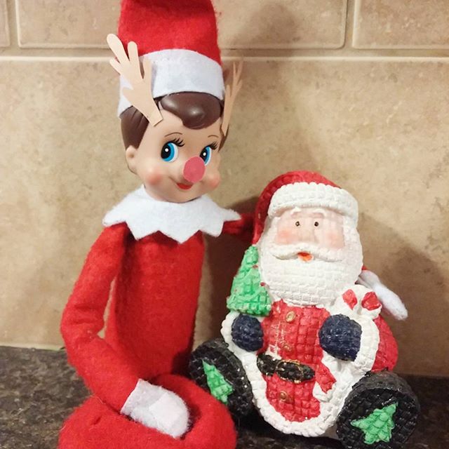 elf-on-the-shelf-things-life-12356490_1661190544137380_599816424_n