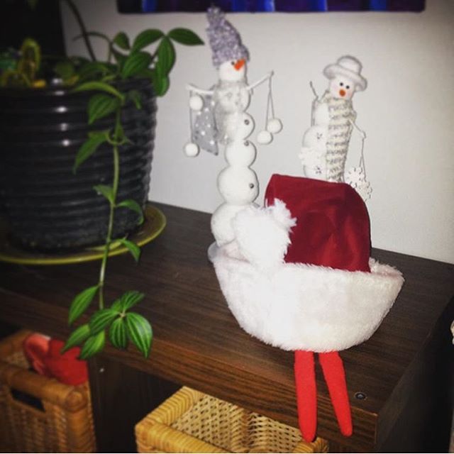 elf-on-the-shelf-things-life-14474354_1676335112697177_7007217050112229376_n