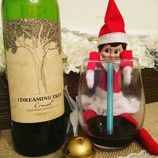 elf-on-the-shelf-things-life-14547637_1485083701521147_7423591645305634816_n
