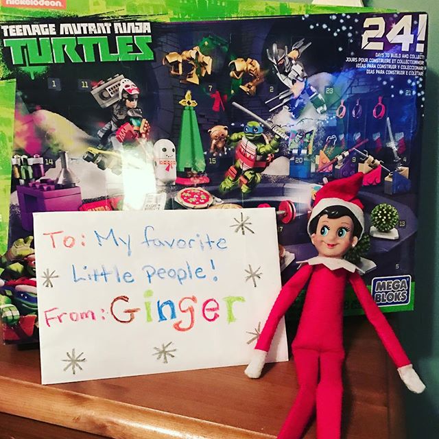 elf-on-the-shelf-things-life-14561768_1833922090216290_6478154418721128448_n